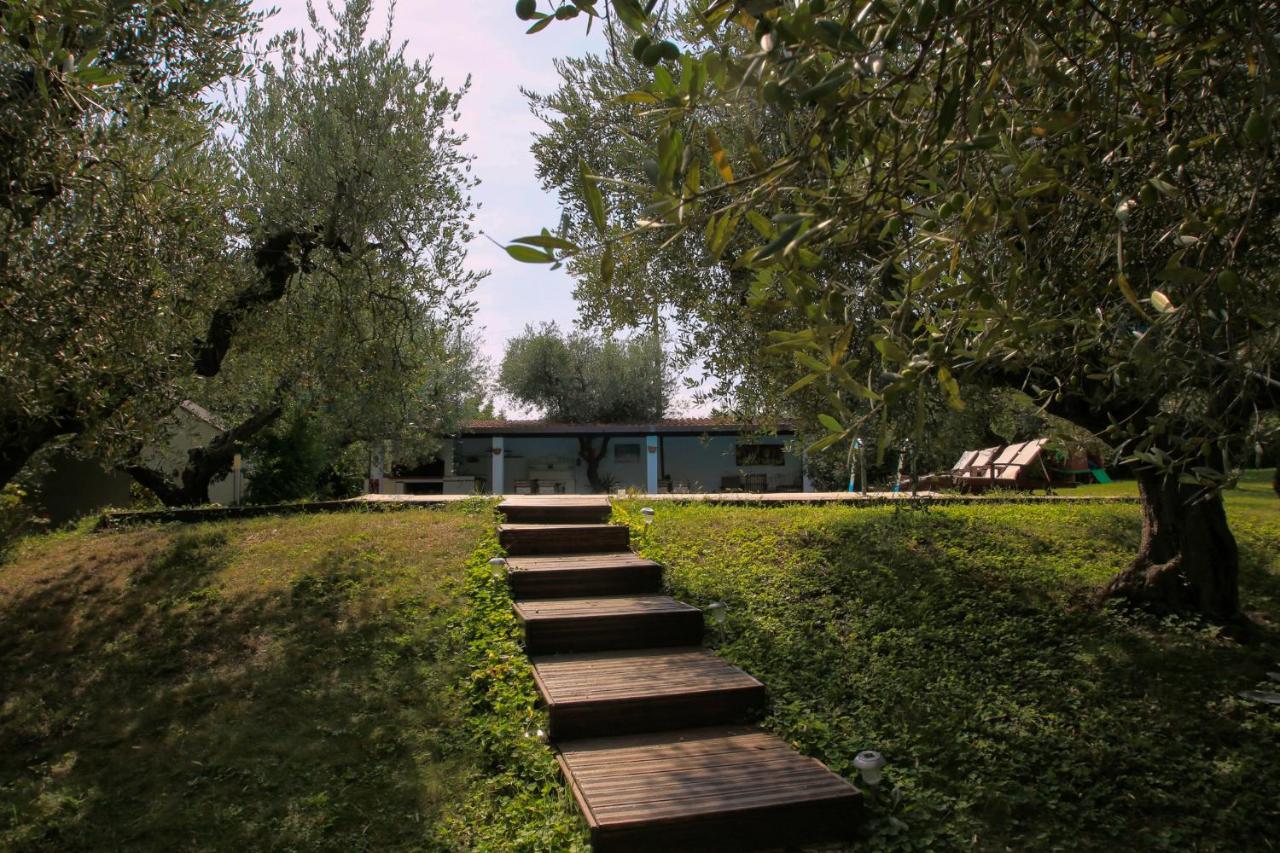 B&B Arli Torrevecchia Teatina Екстериор снимка