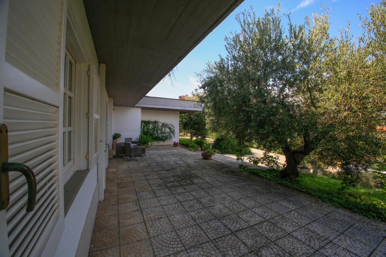 B&B Arli Torrevecchia Teatina Екстериор снимка